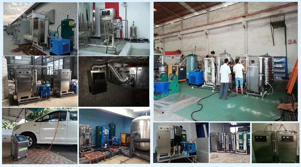 CE 100g Ozone Genetaror Water Swimming Filter Sterilizer System For Commercial Swimming Pool Equipment 6