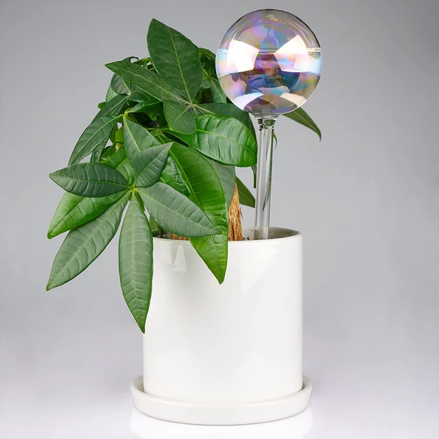 2 Pcs Self Watering Bulbs Automatic Plant Watering Globes Slightly Iridescent Rainbow Gradient Clear Glass Self Watering System 5