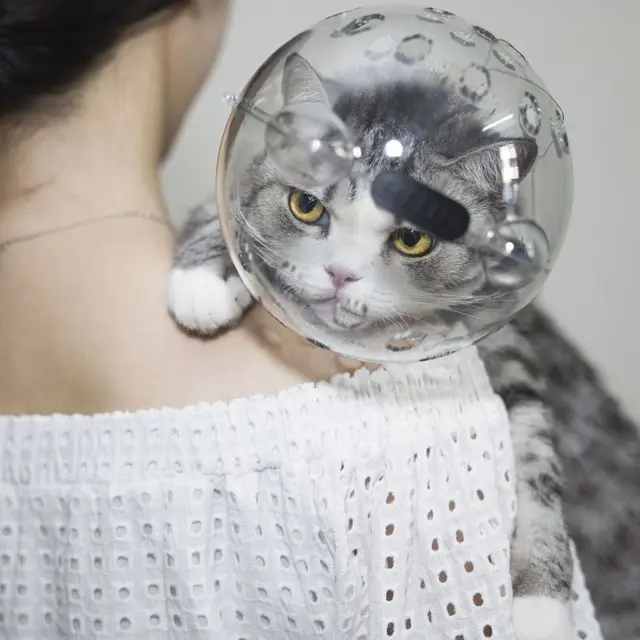 Cat Head Cover Space Hood Ball-shaped Kitten Protective Helmet Breathable Sturdy Muzzle Mask Anti-bite Pet Cat Head Cover Space Hood Ball-shaped Kitten Protective Helmet Breathable Sturdy Muzzle Mask Anti-bite Pet