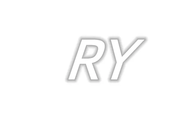 rongyu trading Store