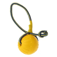 New Pet Dog Training Toy Ball Dog Rubber Ball Chew Bite Resistant Toy With Rope 1