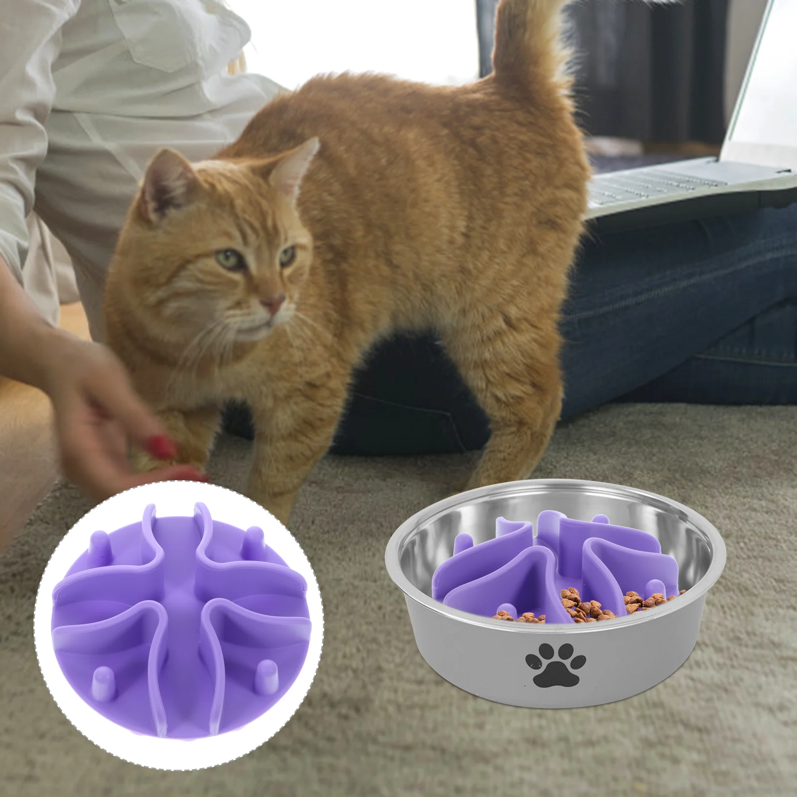 

Slow Feeder Sippy Bowl Pet Insert Feeding Food Safe Silicone Dog Bowls Silica Gel Supplies Wear-resistant