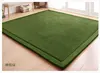 Plain Colour Coral Velvet Living Room Carpet Big Size Room Decor Rugs Thickening Japanese Tatami Mat Non-slip Baby Crawling Mat 2