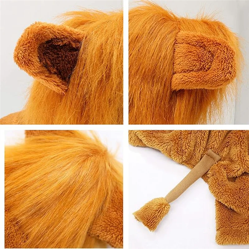 Dog Lion Costume 5