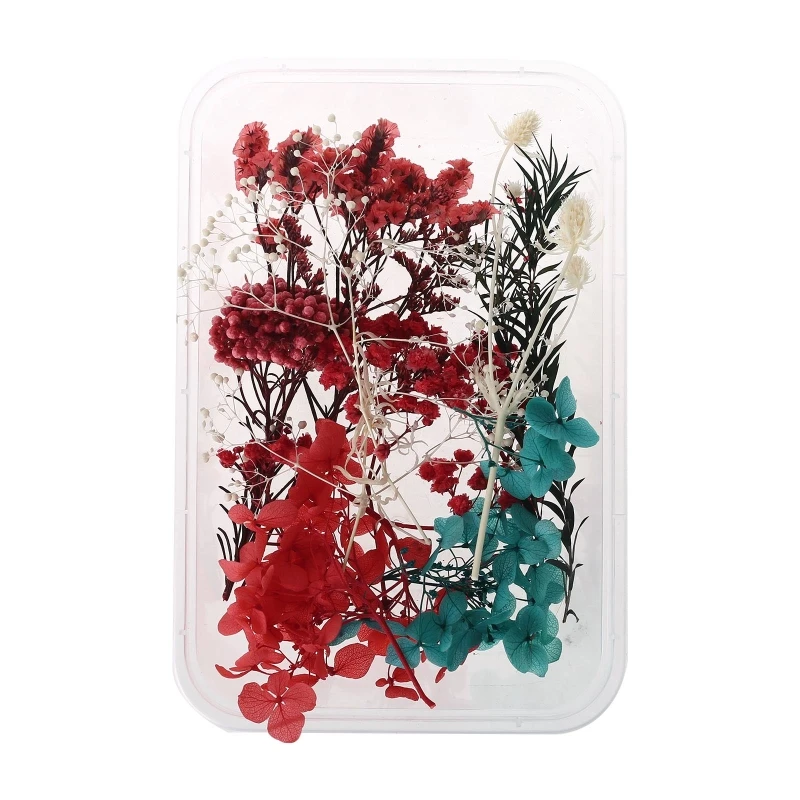 1 Box Real Mix Dried Flowers for Aromatherapy Resin Jewellery Dry Plants Pressed Flower Making Craft DIY Accessories Home