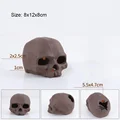 Skeleton