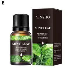 Aromatic Essential Oil Collection - 16 Fragrant Scents (Mint)
