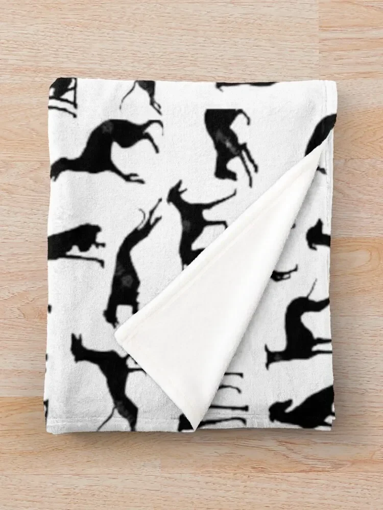 �Ƹ��ٿ� �׷����Ͽ�� ��������, ������ �׸� ������ ���, ķ�� ����ִ� ���� ���� ���� ���