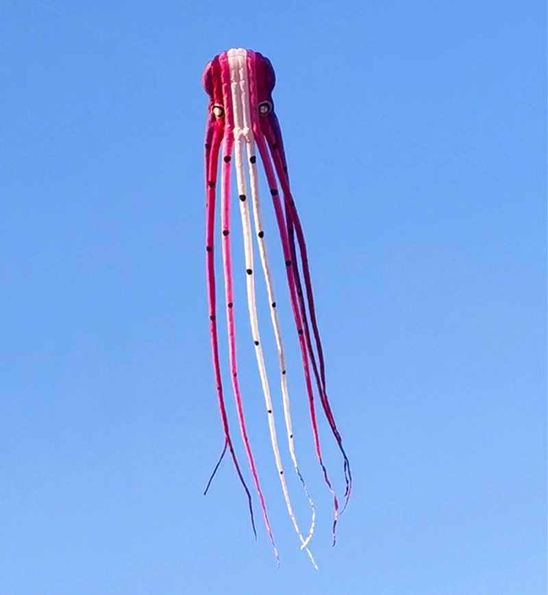 Free Shipping 15m octopus kites flying giant kites for adults kites reel stingray kite inflatable games kite professional jouer 2