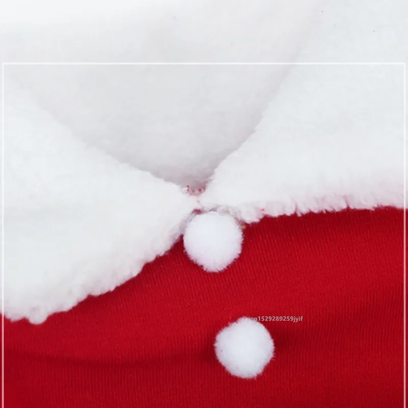 Santa Claus Pet Christmas Costume 5