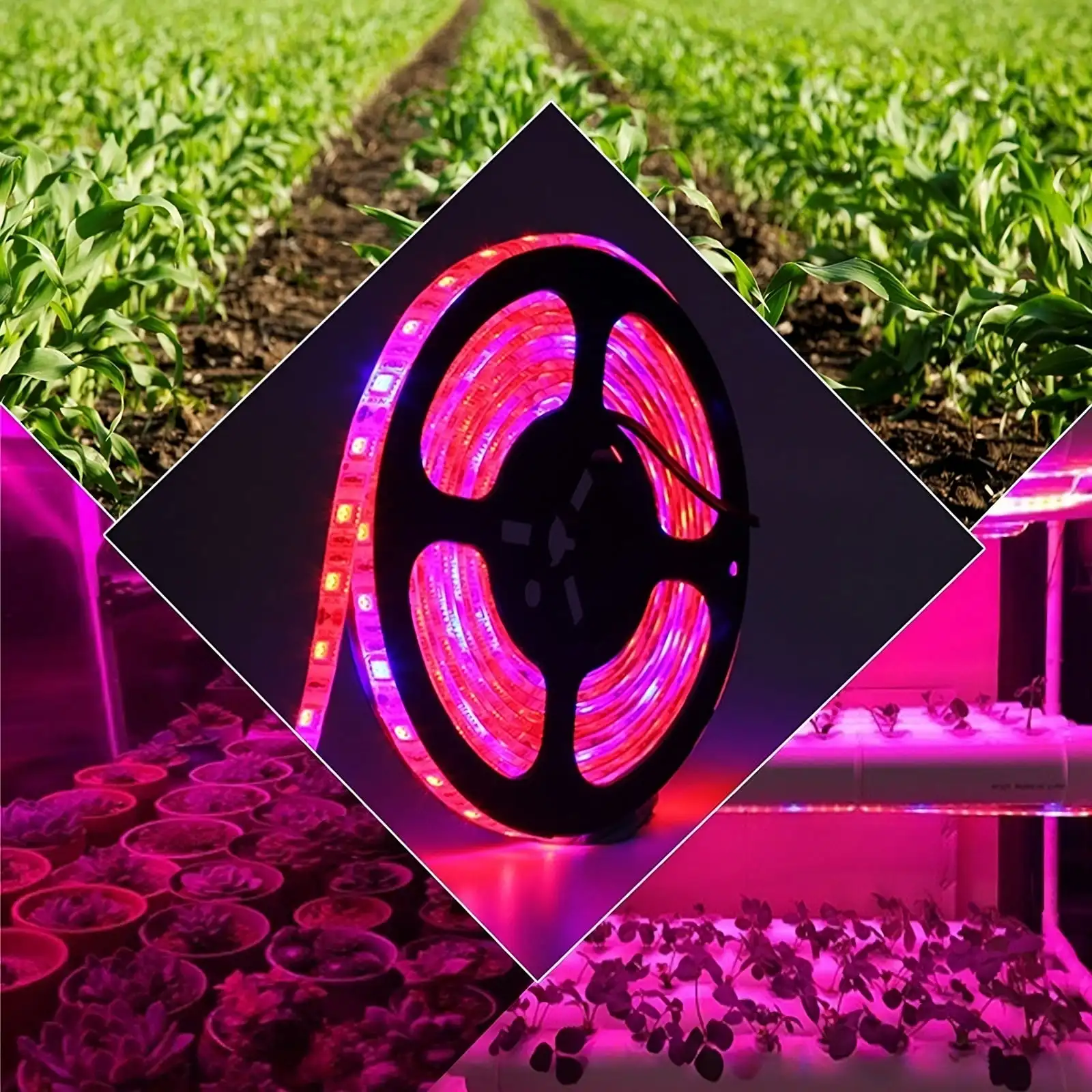 LED Grow Light Grow Light 10M LED Grow Light Strips with USB for All Stages of Plant Growth and Aquarium Greenhouse Hydroponic Plant Garden Flowers