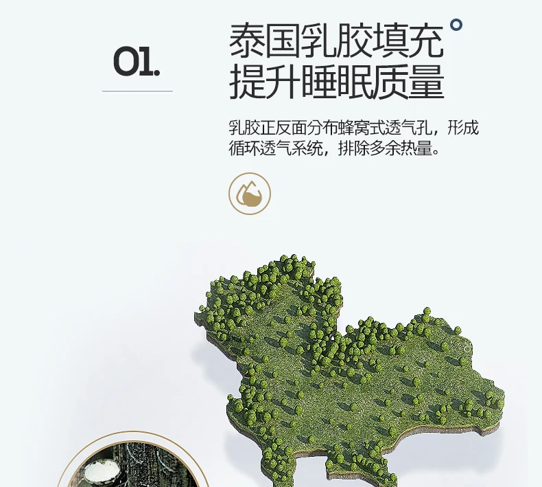 Description Picture 3 of itemDropshipping Customizable Size Mattress Soft Mattress Home Tatami Mat Was The Floor Mat Student ZHA03-50999