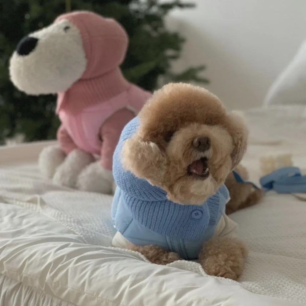 Cute Warm Dog Knitted Hat Soft Comfortable Pet Hooded Scarf Fashion Solid Color Cat Bear Hat Autumn Winter