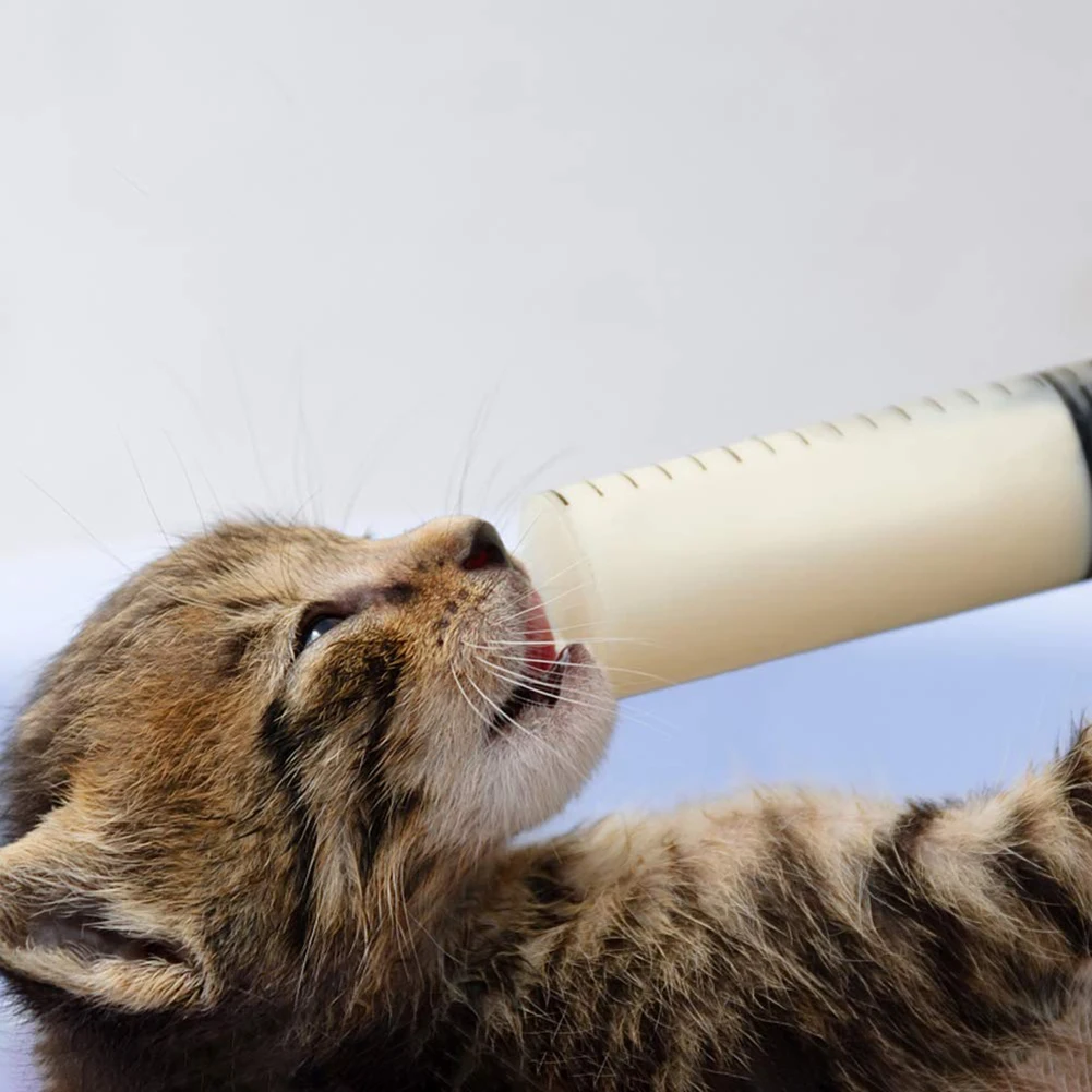 100ml Feeding Syringe Glue Filling Liquid Syringe Nutrient Sterile Plastic Syringe Health Without Needle for Animal Food Feeding