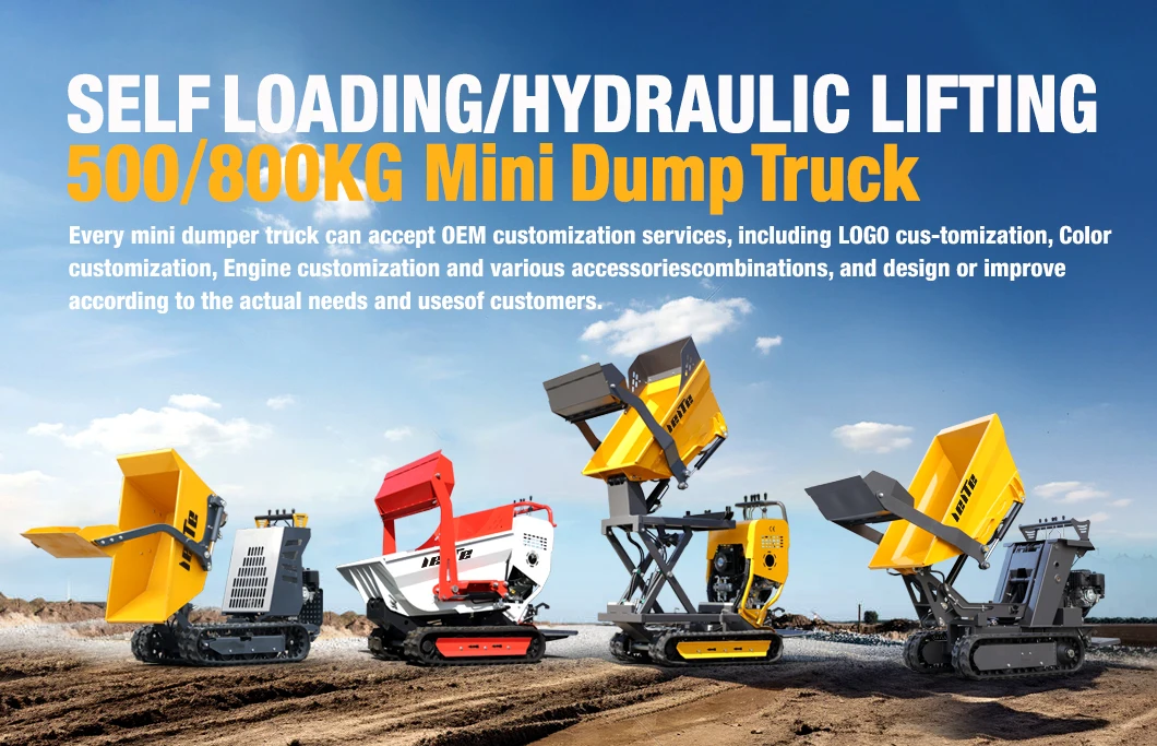 ODM OEM Crawler maßgeschneiderter 0,8-Tonnen-Muldenkipper für Baustellen, automatischer Lader-Dumper, 500 kg Mini-Dumper für kleine Konstruktionen – Detail 2
