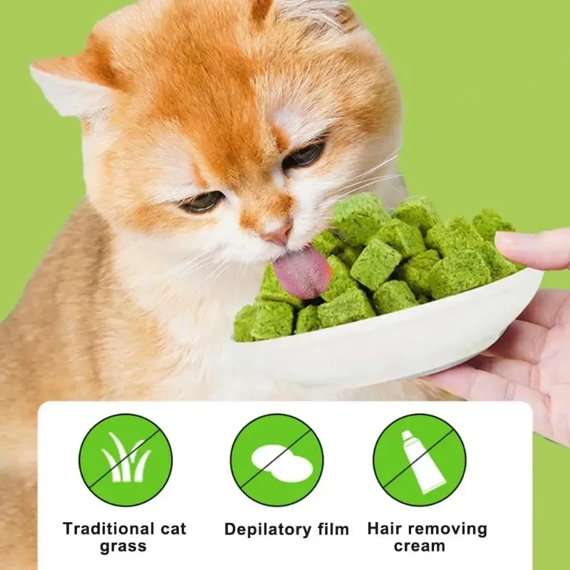 50g Catgrass Grain Row Furry Hairball Pieces Freezedried Cat Snack Teeth Grinding Stick Catgrass Biscuits Cat Grinding Teeth 4