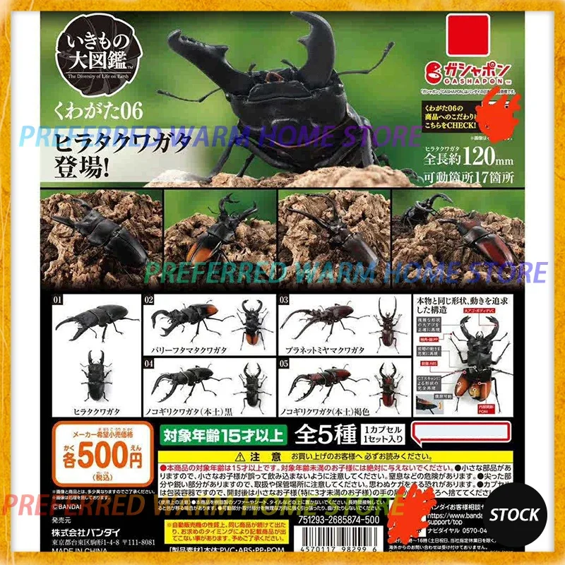 In Stock Japanese Gashapon Egg Big Biological Map Of Lucanidae 06