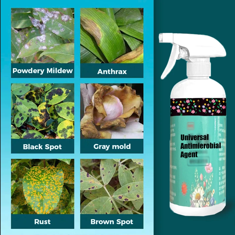 Slide image 65ffcbf72dca45f5a6a3d86ceb2d118e