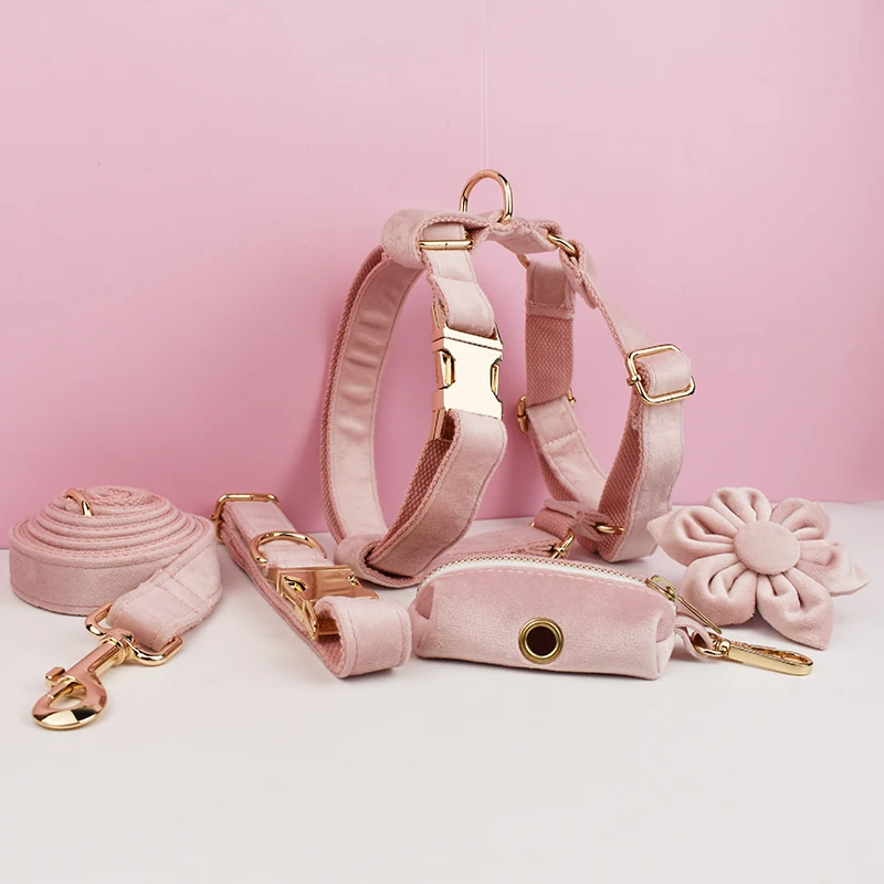 Hellrosa Samt-Hundehalsband und Leinen-Set für Hunde, individuell graviertes Namensschild, Haustierbedarf, Hundeleine, Velvet36