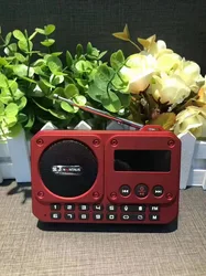 Compact Multi-Functional Bluetooth Speaker with FM Radio and LED Display (Red)