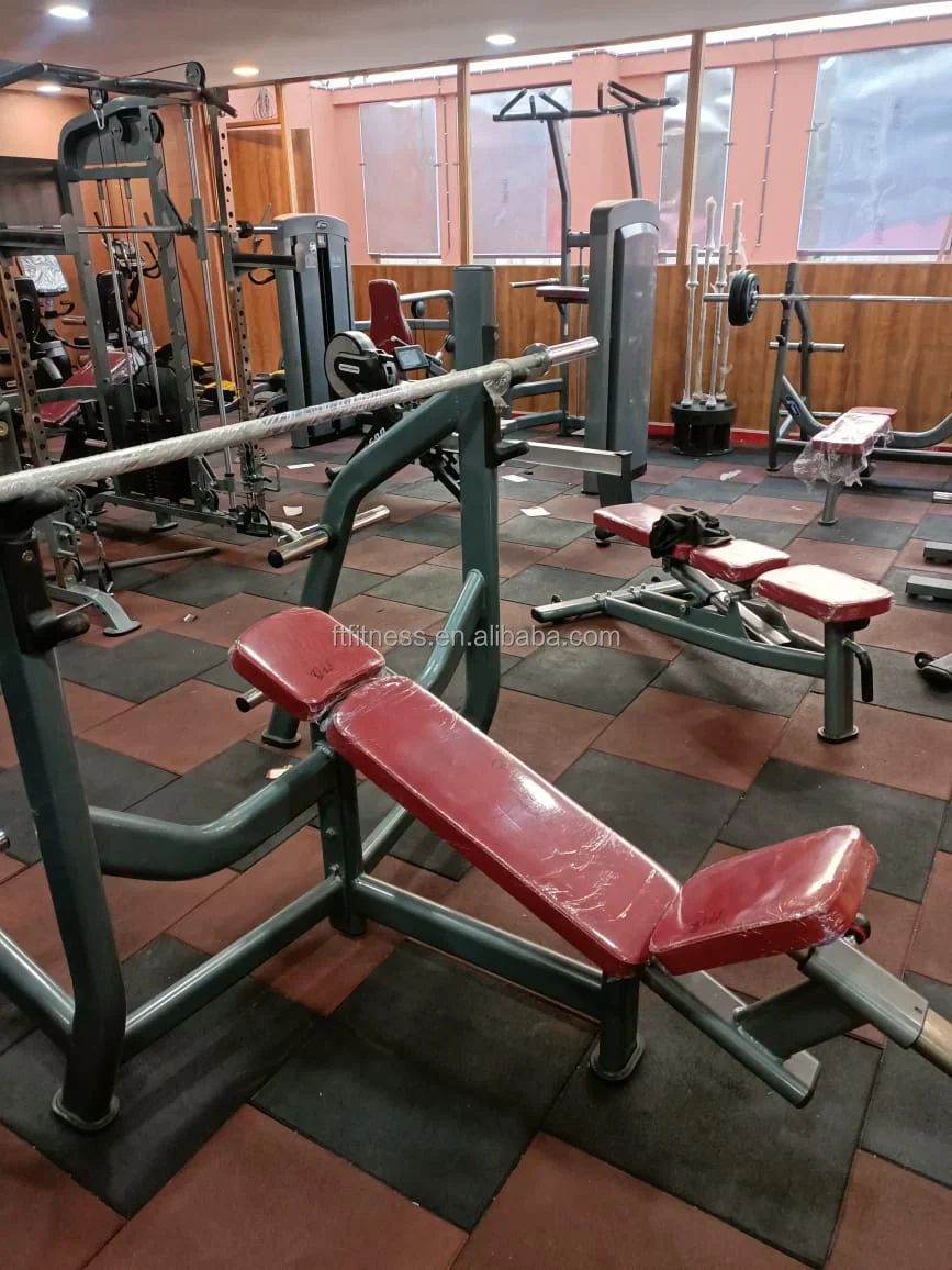 Dumbbell Bench Multi-function Sit-up Gym Weight Lifting Dumbbell Adjustable Incline Exercise Bench Factory Direct Sale
