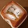 Foldable Cat House Outdoor Waterproof Pet House for Small Dogs Kitten Puppy Cave Nest with Pets Pad Dog Cat Bed Tent Supplies 3 Foldable Cat House Outdoor Waterproof Pet House for Small Dogs Kitten Puppy Cave Nest with Pets Pad Dog Cat Bed Tent Supplies 3