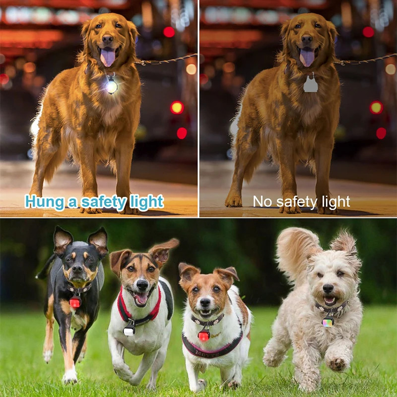 Dog Collar Pet Collar LED Dog Collar Light Cat Pet Luminous Pendant Flashlight USB Night Safety Dog Lights for Night Walking Running Camping 2 Pack