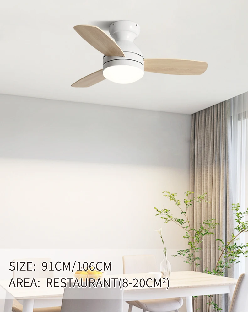 Ceiling Fan Image 7