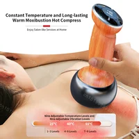 Hot Stone Electric Gua Sha Massager Bian Stone Guasha Tool Skin Scraping Neck Back Face Massage Body Warm Moxibustion Device 1
