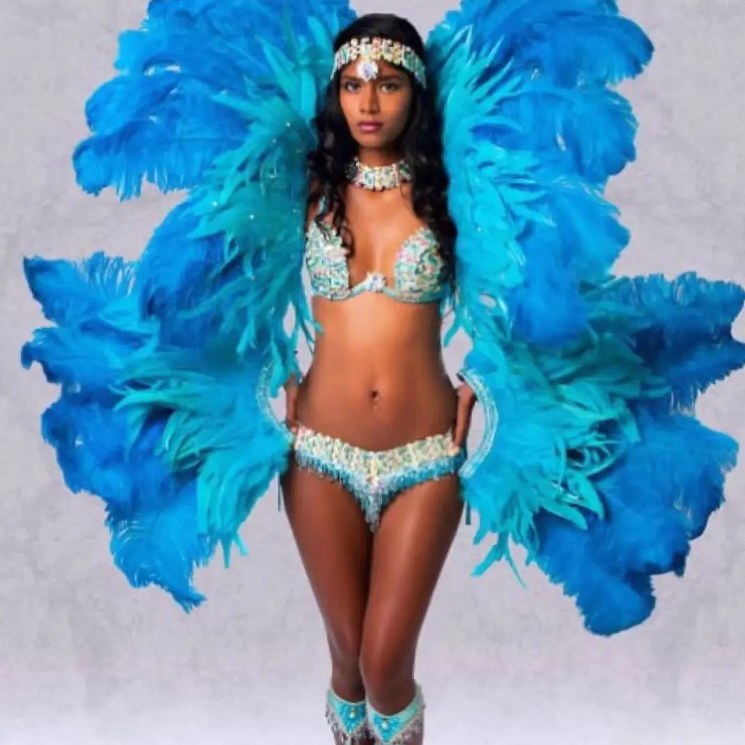 100pcs Blue Carnival Rooster Tail Feathers 25-30cm 30-35cm for Crafts Headdress Party Clothing HeadWear Decor Pheasant Plumas pheasant feathers rooster feathers craft feathers natural feathers