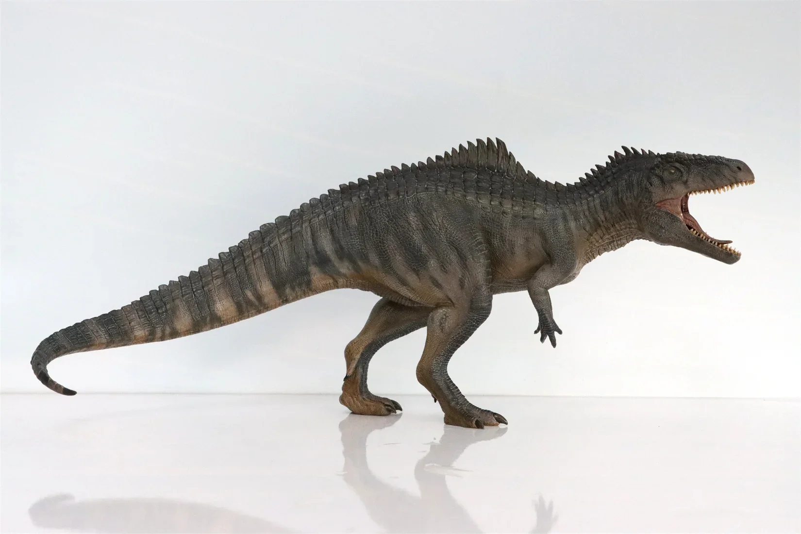 Nanmu 本心楠改 The King of the Border Gigano Nanmu Studio Jurassic Giganotosaurus King of the Border 1/35