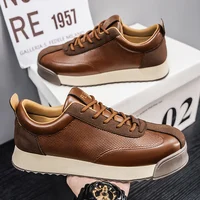 Men's Shoes 2025 Spring New Trend Fashionable Versatile Sports Casual Niche Design Sense Low Top Board Shoes Trend