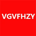 VGVFHZY Store
