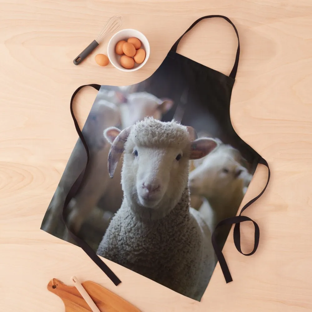 Sheep Apron Womens Dresses Professional Barber Apron Kitchen Special Accessories