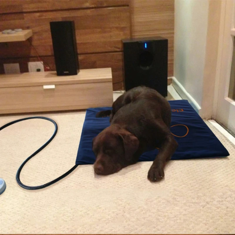 Waterproof Pet Heating Pad Electric Blanket Dog Cat Winter Warmer Pad 45&times;60cm Adjustable Temperature Dog Mattress US/UK/EU pet blanket,pet bed mat,pet mattress,pet heated mat