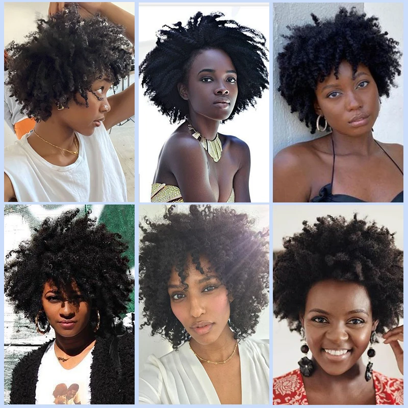 Short Kinky Curly Wigs for Women Afro Kinky Curly Hair Hedgehog Wig Natural Synrhetic Afro Curly Wig Cosplay Use Heat Resistant