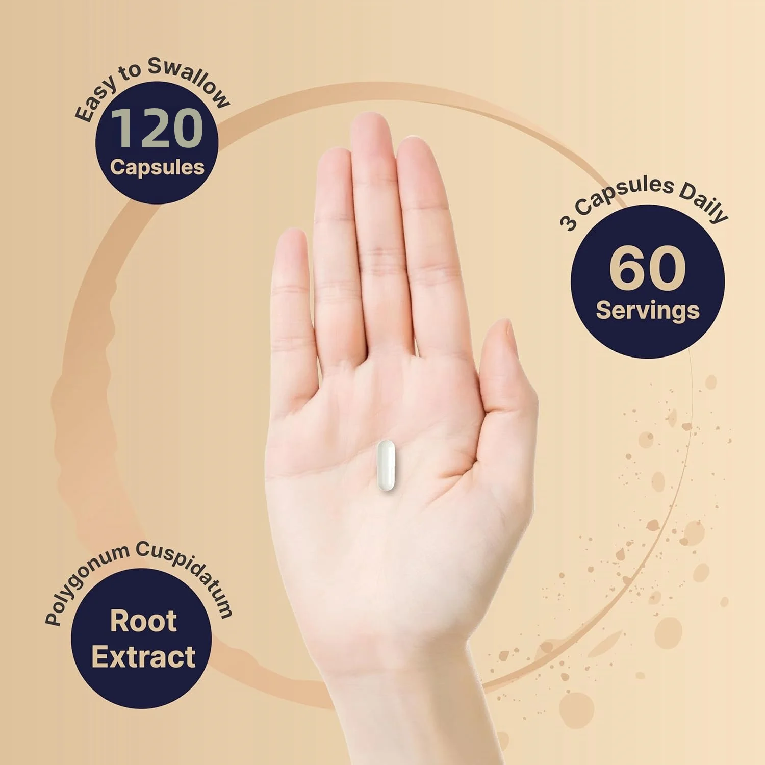 Resveratrol Capsule Supplement Supports Healthy Heart Immunity Brain Skin Antioxidant Promotes Overall Health