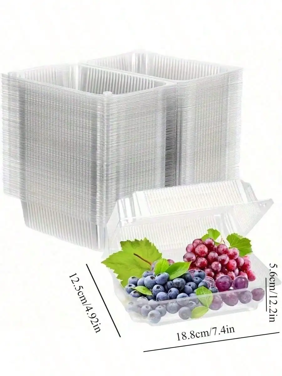 food containers for parties and picnics