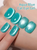 1Pc 10Ml Blue Cat Eye Gel Nail Polish Glitter Manicure UV LED Soak Off Nail Magnetic Gel Polish Nail Art DIY 6