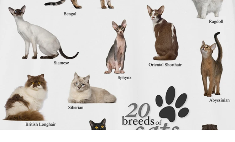 Cat Breeds Collage Graphic T-Shirt Seca3c838def2437b8eaf9c661cbd4630L