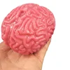 Novelty Squishy Brain Toy Squeezable Fun Toys Relieve Stress Ball Cure Toy Cartoon Animal Squeeze Nostress Toy Kids Adults Toy 2