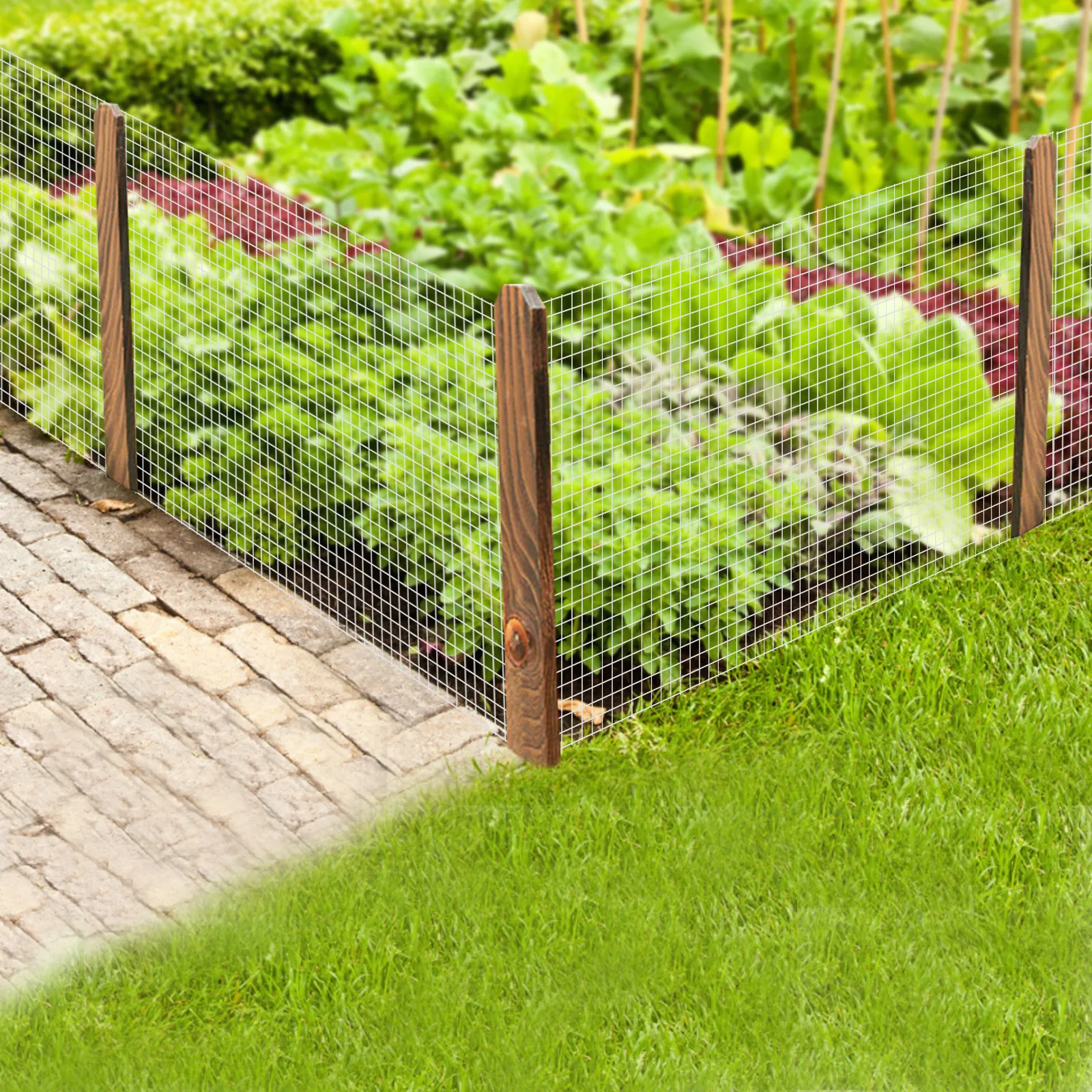 1/4 Inch Hardware Cloth Chicken Wire Fence Galvanized Welded Cage Wire Mesh Roll Poultry Metal Wire Fencing 6