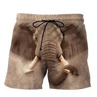 New Funny Animals Dog Hawaiian Beach Shorts Cute Pets 3D Print Men Surfing Board Shorts Oversized Swimwear Trunks Kids Clothing 1
