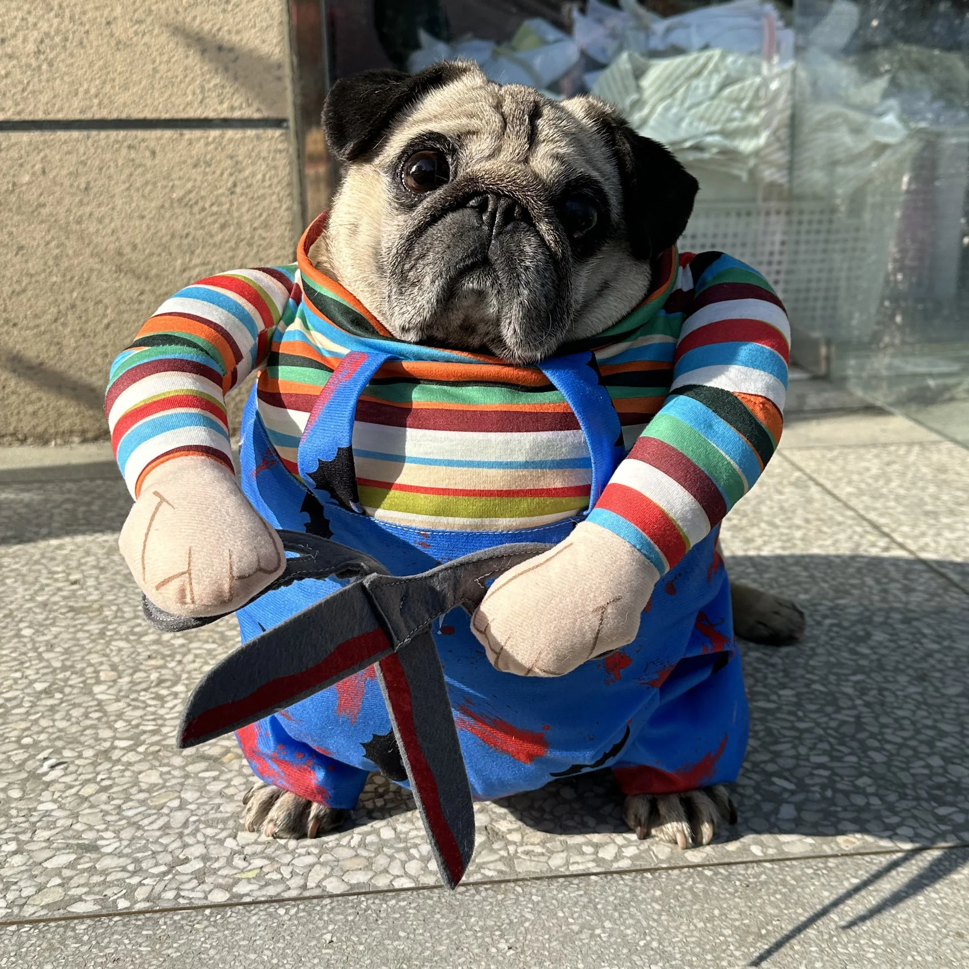 Scissors Transformation Pet Costume 3