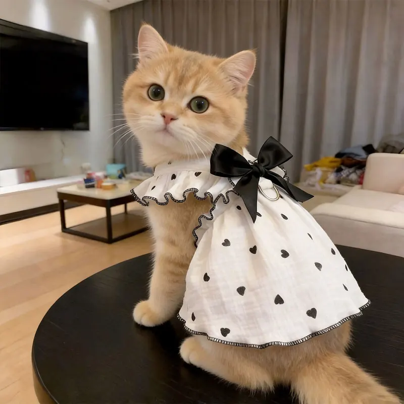 강아지와 고양이를 위한 애완동물 드레스와 의류, 테디베어, 포메라니안, 포메라니안 리드를 위한 봄, 여름 의상 포함