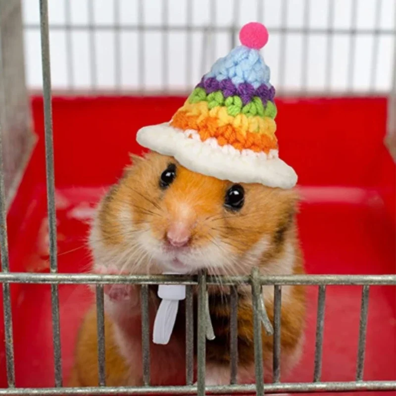 Bird Hat Small Animals Lovely Hand Knitted Hats For Hamster Lizard Guinea Pig Reptile Party Clothes Costume Pet Caps bird costume