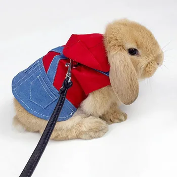 Denim Bunny Harness Outfit 1