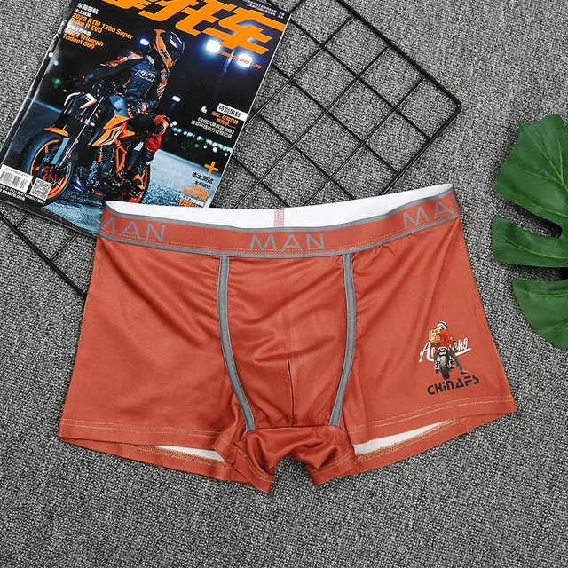 Ropa Interior Masculina Boxer De Marcas Calzoncillos Boxer Que