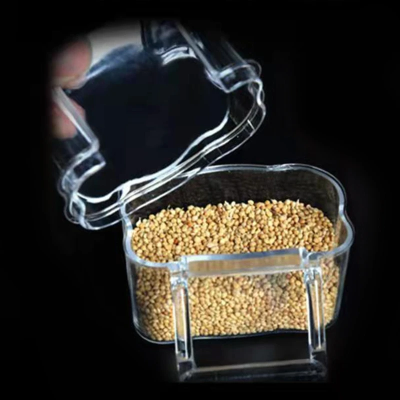 Bird Food Container Feeder Seed Food Container for Cage Accessories for Budgerig bird feeder parrot feeder