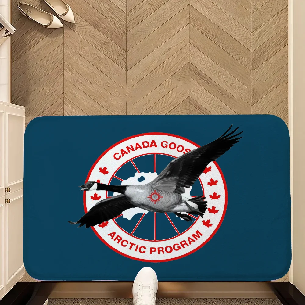 Cute Carpet Rug Mat Canada-goose Outdoor Doormat Entrance to Home Decoration Accessories Rug for Bedroom Mats Kitchen Floor Mat 3